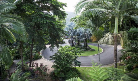 Oasis At Palm Cove - Darwin Holiday 7