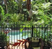 Daintree Rainforest Retreat Motel - Darwin Holiday