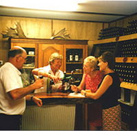 Amarillo Vines - Darwin Holiday