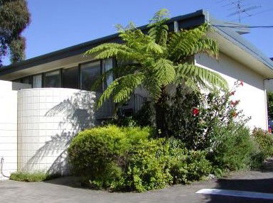 Penguin Mews - Darwin Holiday 3