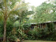 Kuranda Rainforest Accommodation Park - Darwin Holiday 3
