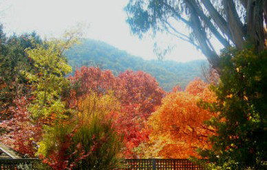 ELLENVALE HOLIDAY UNITS - Darwin Holiday 1