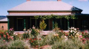 Old Wallinga Country - Darwin Holiday 0