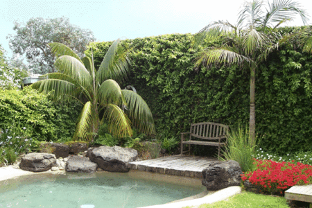 The Tropicana Motor Inn - Darwin Holiday 2