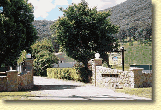 Willow Dene - Darwin Holiday 1