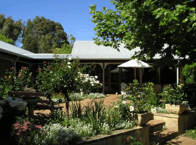 The Noble Grape - Darwin Holiday