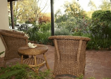 The Noble Grape - Darwin Holiday 4