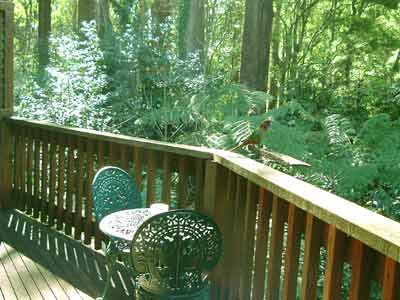 Belle Le Vie (Luxury B&B) - Darwin Holiday 4