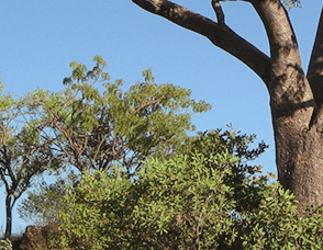 Lakeview Apartments Kununurra - Darwin Holiday 3