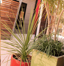 Adelphi Apartments - Darwin Holiday 1