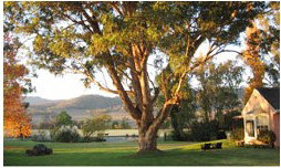 Belltrees Country House - Darwin Holiday 2