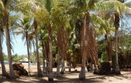 King Sound Resort Hotel - Darwin Holiday