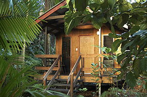 Cape Trib Beach House - Darwin Holiday 0