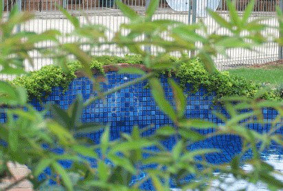 Arcadia Motor Inn - Darwin Holiday 4