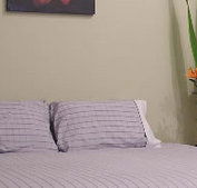 Stingo Hotel - Darwin Holiday