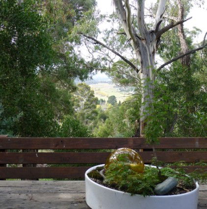 Jindabyne NSW Darwin Holiday