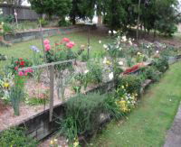 Kintail Homestay - Darwin Holiday 0