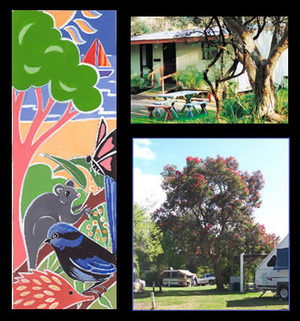 Bushland Cabins - Darwin Holiday 0