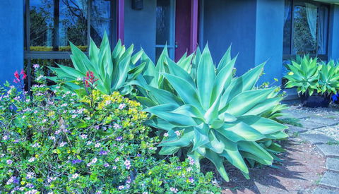 Possum Creek Lodge - Darwin Holiday 2