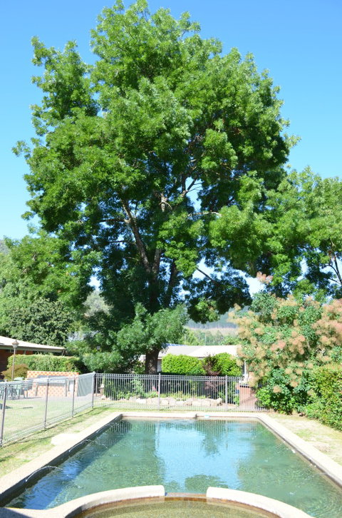 Bright Colonial Inn Motel - Darwin Holiday 4