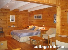 Anglesea Rivergums - Darwin Holiday 0