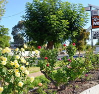 Narrogin Motel - Darwin Holiday