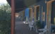 Ravensthorpe Motel - thumb 2
