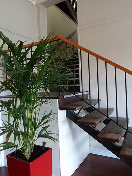 George On The Terrace - Darwin Holiday 0