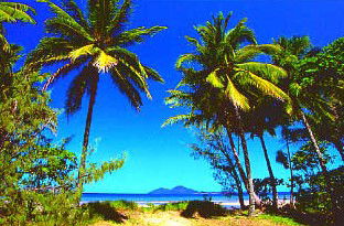 Mission Beach Rainforest Motel - Darwin Holiday 1