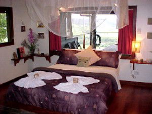 Daintree Cloud 9 - Darwin Holiday 0