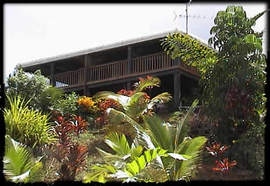 Daintree Manor - Darwin Holiday 5