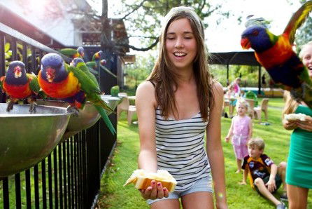 Noosa North Shore Retreat - Darwin Holiday 5