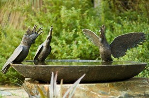 Cladich Pavilions - Darwin Holiday 1