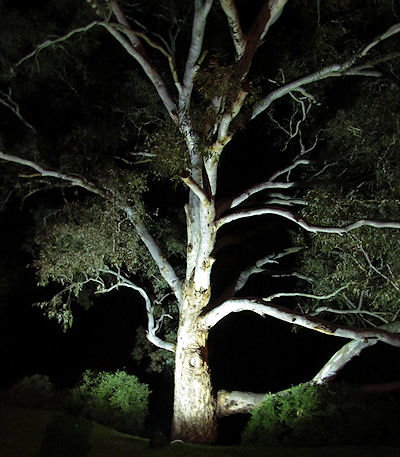 Tally Ho Lodge - Darwin Holiday 3