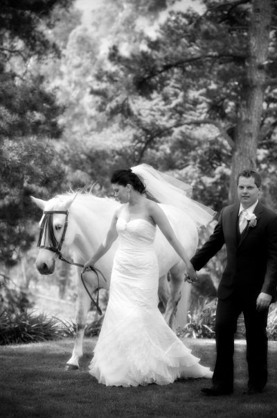 Tally Ho Lodge - Darwin Holiday 6