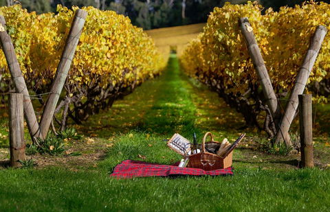 Lindenderry At Red Hill - Darwin Holiday 5