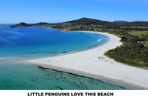 Diamond Island Resort - Darwin Holiday 5