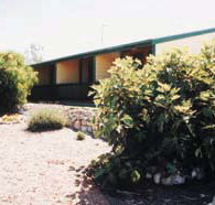The Fig Tree Bed  Breakfast - Darwin Holiday