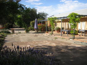 Peechabella Vineyards Bed & Breakfast - Darwin Holiday 0