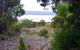 Lake Saint Clair Nature Retreat - thumb 0