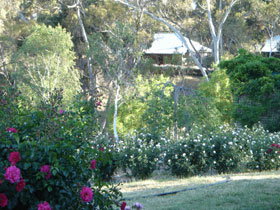 Watervale SA Darwin Holiday