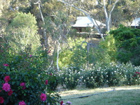 Battunga Bed & Breakfast - Darwin Holiday 0