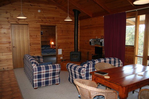 Molly's Chase - Darwin Holiday 0