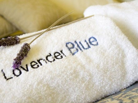 Lavender Blue Country Apartments - Darwin Holiday 3