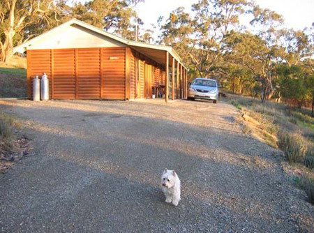 Molly's Chase - Darwin Holiday 1