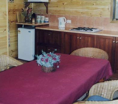 Molly's Chase - Darwin Holiday 3