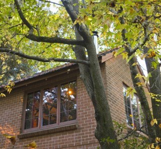 Crafers Cottages - Cherrytree Cottage - Darwin Holiday 4