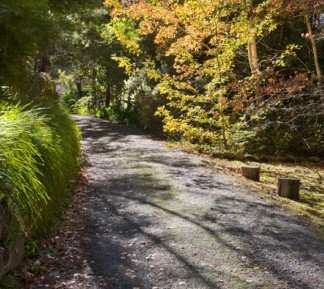 Crafers Cottages - Cherrytree Cottage - Darwin Holiday 5