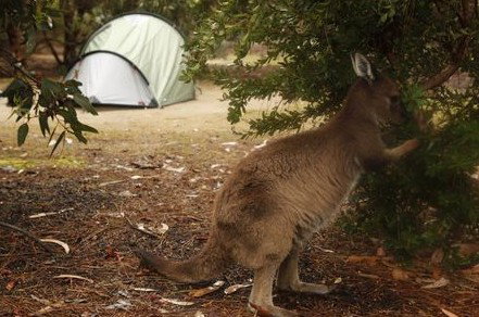 Western KI Caravan Park Cabins - Darwin Holiday 2