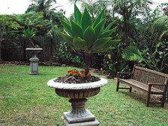 Bangalow Retreat - Darwin Holiday 0